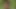 Busty German Step Moms fuck in public park