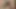 Latino Gay Having Hardcore Bareback Fuck