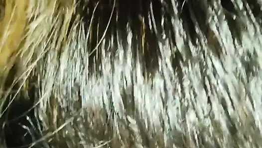 I Went for a Ride in the Car and I Felt Like Sucking His Cock