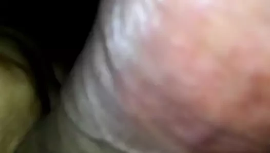 Aşırı ateşli olgun horoz