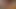 Cute Curly Haired Girlfriend Blowjob
