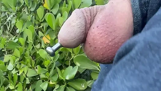 Exposed Outside
