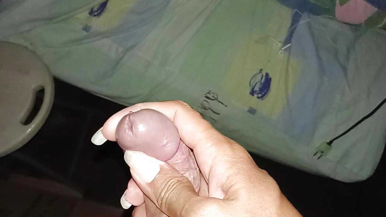 ديكي لعبة الحشو الخاصة بي
