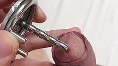 Freigabe von mikro-keuschheitskäfig mit penisplug