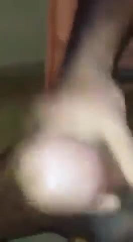 निचला आदमी