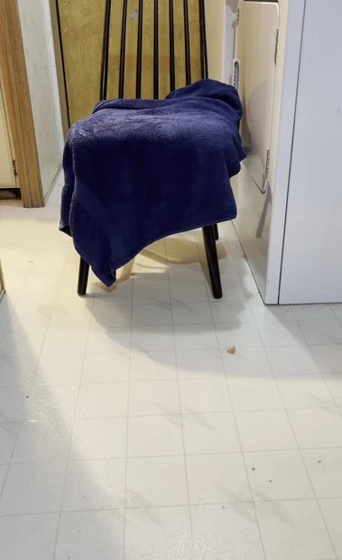 Chub pulls extra long dildo from ass