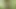 Self spanking in woods