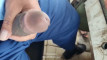 Pregled videozapisa