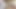 Giantess POV Sneak Peek