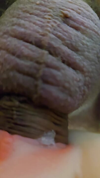 このきつい膣を満たして!