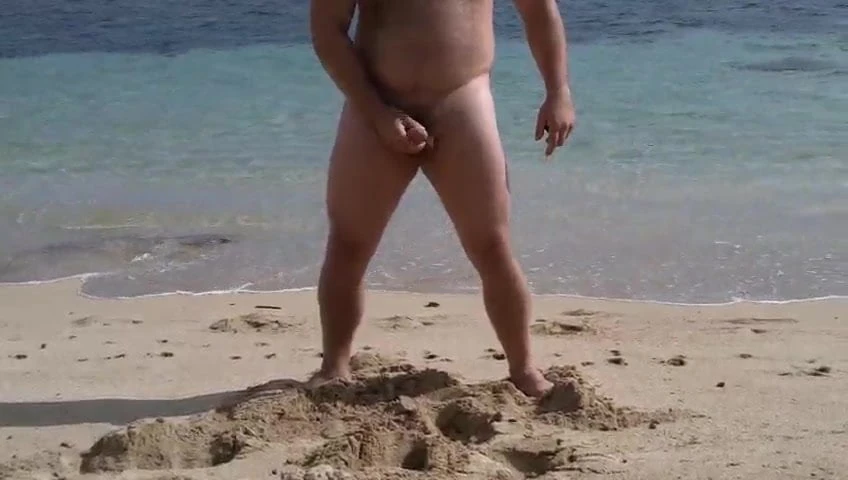 Bear cumming on the beach