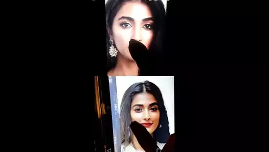 Pooja hegde mutual shag