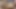 A Sexy Teen Girl Records Me When She Does Me a Blowjob in the Middle of a Public Forest