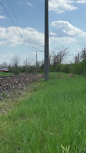 鸡巴闪光训练，危险的手淫 | 短片 1