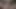 Yapay penis sikme at pencere selfie