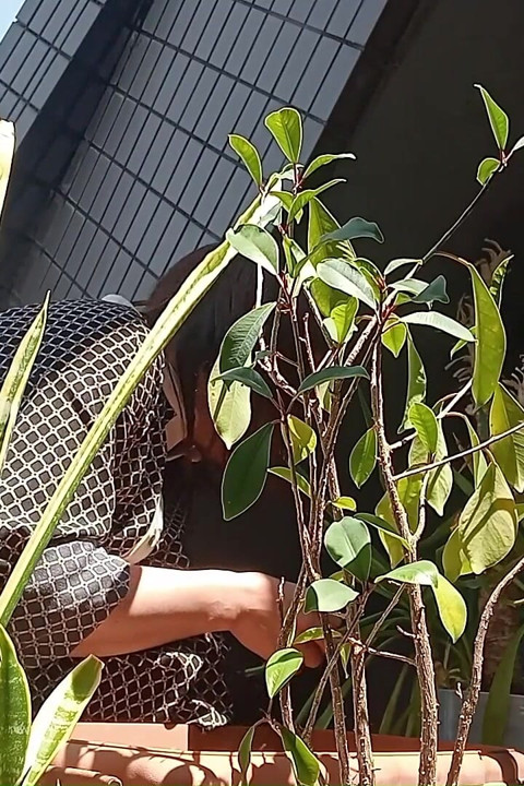 I Pee in the Potted Plant Again
