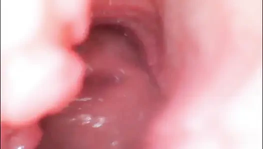 Endoscope Creampie. Cam Inside Pussy Shows Dick Cumming Inside Pussy