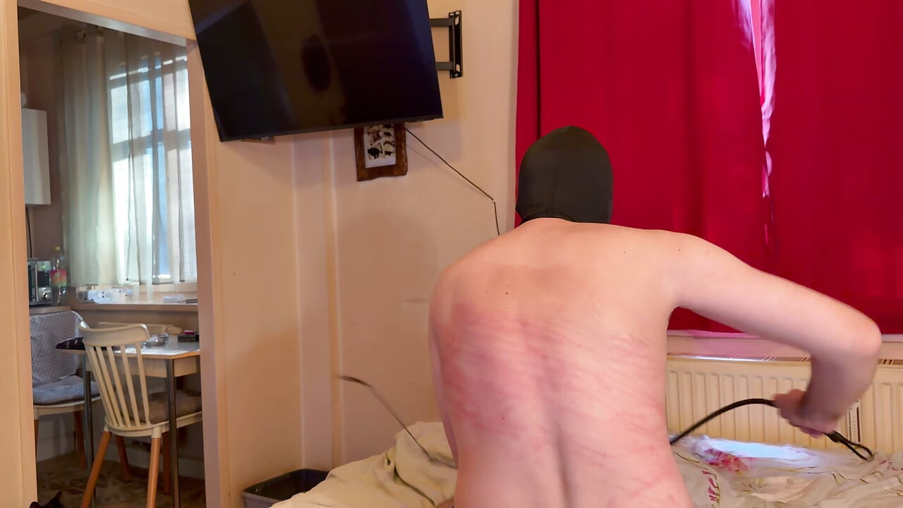 Brutal Back Whipping Bullwhip