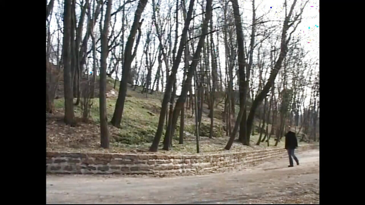 Brineta kurva jaše veliki kurac