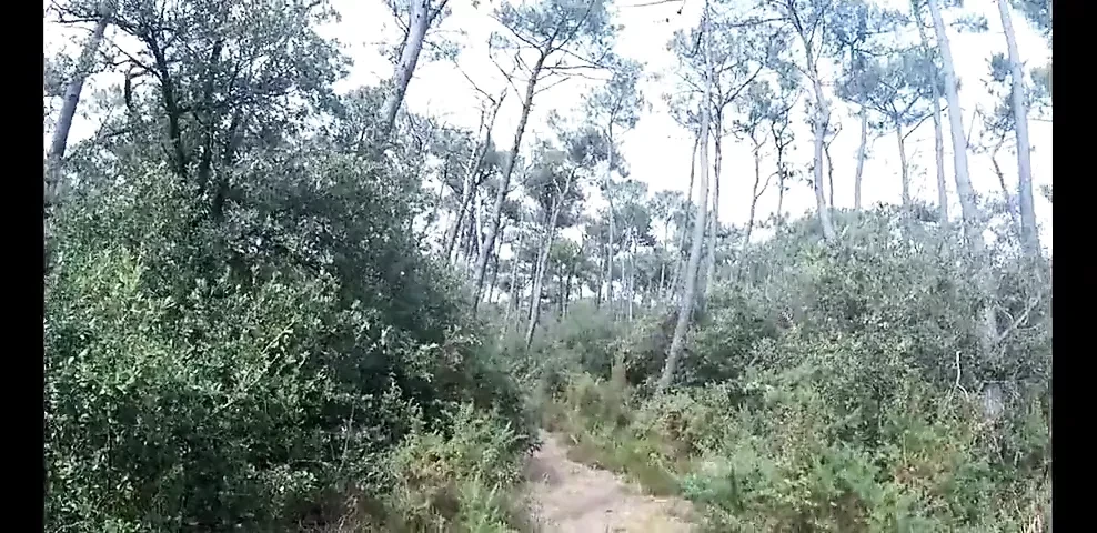 French dogging sur les chemins de la Sainte Victoirea a Aix – Porn | xHamster