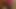 Red cock
