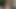 2つのレズの友人は、お互いに彼らの猫を共有します