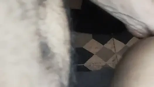Desi fun semen released inside