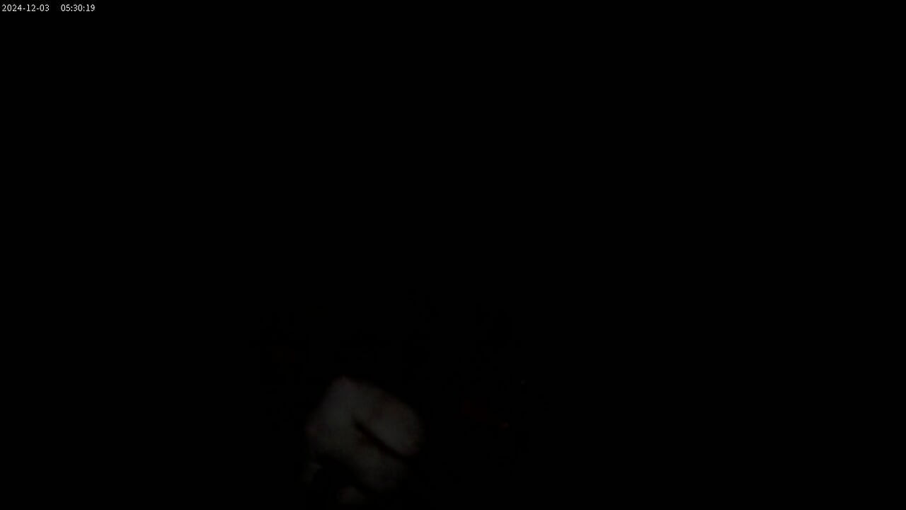 黑暗手淫