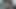 猫で支払う
