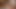 SISSR FUCKING ASS MASTURBATION COCK RING