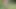 Huge cumshot on the river after a hot fuck with orgasm