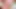 sublime Afro  OF beauty Lexusexebony sucks cocks, deep throats