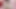 Desi Girl Doing Anal With Tooth Brush Moaning Hindi Audio