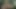 Cc - müzik ilişkisi