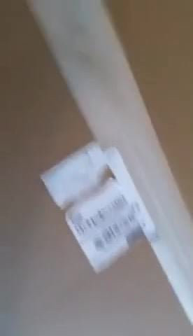 The box