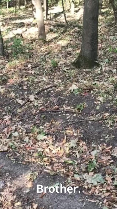 Meu ex fica ligando para o meu telefone enquanto eu estou chupando meu cara novo no parque! | Clipe 1