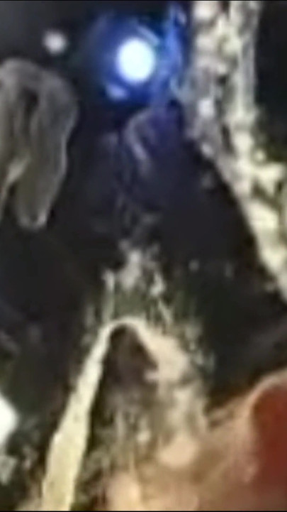 Captivating moment from "Greatest Cumshots"