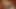 Interview and Masturbation with Nice Cum for Thai Ladyboy