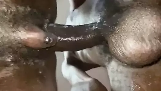 Black FTM Pussy Getting Bred by his Daddy's BBC