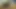 seksi 18 yaşındaki kız alır onu KEDİ parmaklı