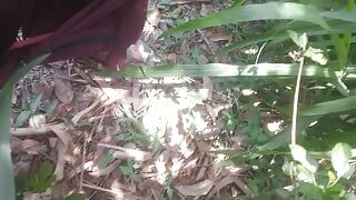 Vrijgezellenjongenboom in het bos seksvideo