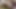 おっぱいと揺れるおっぱいに射精