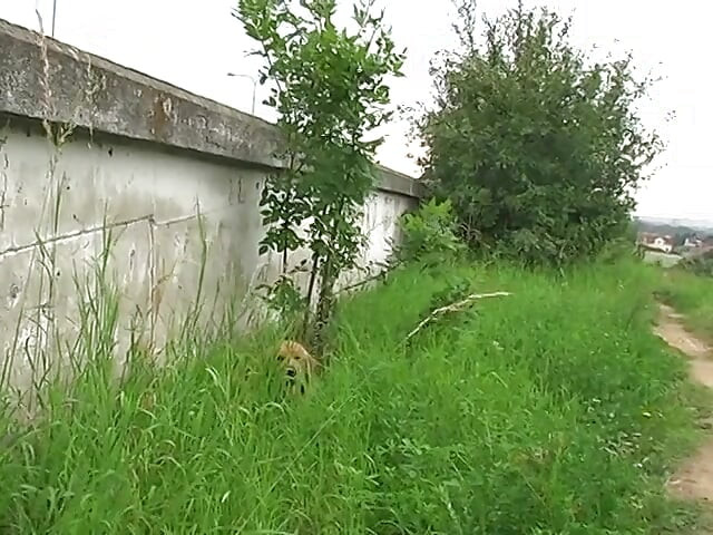 Chica sexy follando en una carretera