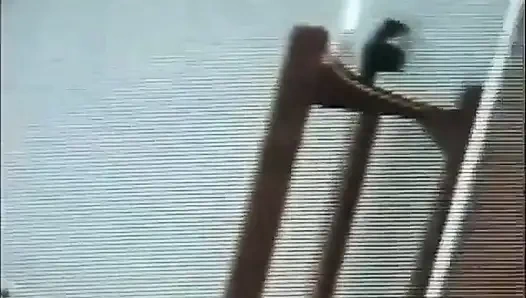 Siyah ve beyaz amcık yalıyor bahçede öpüşüyor