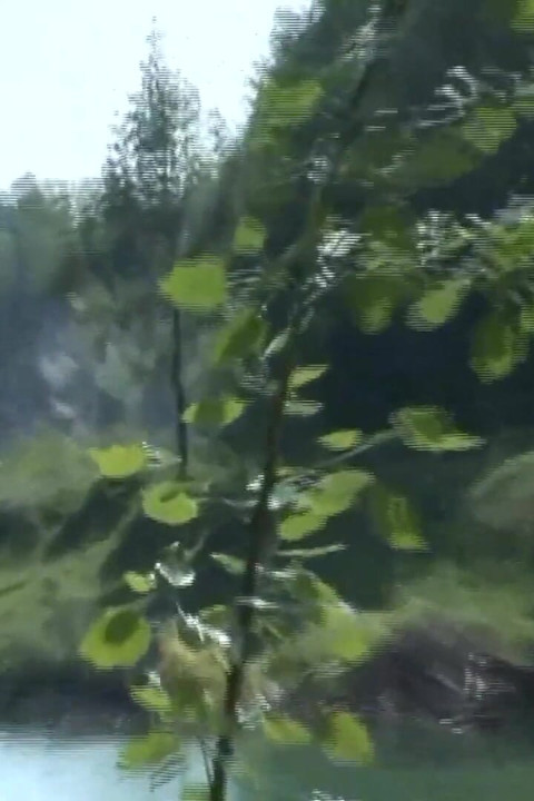 Masturbând o pulă mare și sugând pula în parc