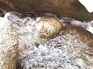 piss sex