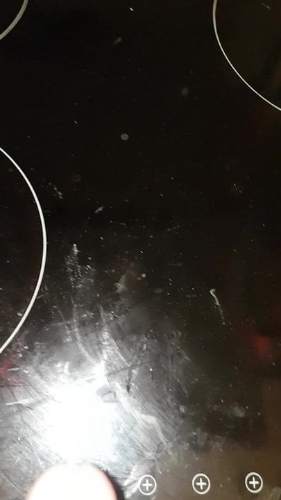 Sperm
