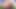 熟女ブルネットのプロが広げる