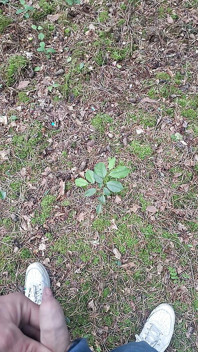 Boy peeing in a public wood