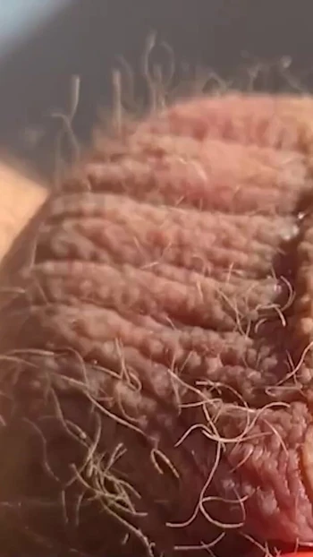 Unforgettable moment from "Thick, fat, hard banded cock comes without squirting during horny banding session"